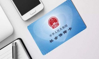 学生社保怎么自己缴费（学生社保怎么自己缴费网上）