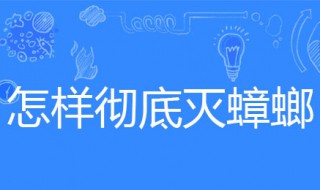 怎样彻底灭蟑螂（怎样彻底灭蟑螂和卵）