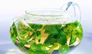 桑叶茶的6大功效（桑叶壮阳功效）