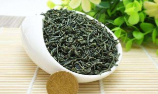 想知道高山茶属于什么茶 高山茶属于什么茶种