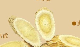 黄芪可以恢复肾功能吗