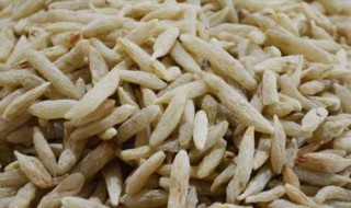 麦门冬功效与作用 麦门冬功效与作用是什么