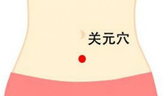 关元穴的功效与作用