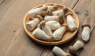 鲍菇和什么相克 鲍菇和什么相克不能吃