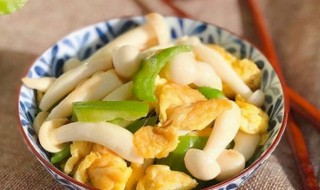 白玉菇可以和鸡蛋一起吃吗（白菇可以跟鸡蛋一起吃吗）
