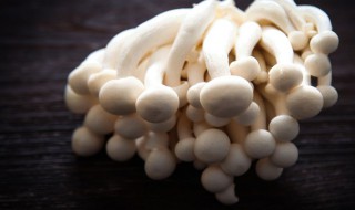 白玉菇和海鲜菇有什么区别（白玉菇与海鲜菇有什么区别）