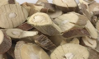 桑白皮功效与作用及禁忌（桑白皮功效与作用及禁忌是什么）