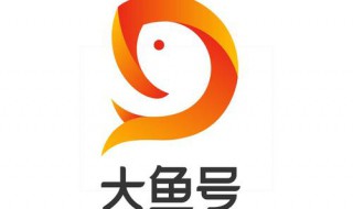 怎么在大鱼号上发布小视频（大鱼号如何发布视频）