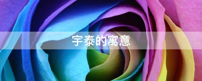 宇泰的寓意（宇字的寓意和解释）