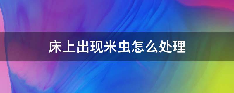 床上出现米虫怎么处理 床上有小米虫子怎么办