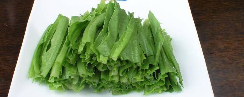 成都凤尾菜又叫什么 成都凤尾菜又叫什么名字