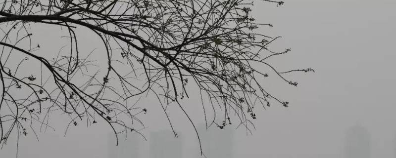什么天气系统造成的大风为多（什么等天气系统造成的大风为多）
