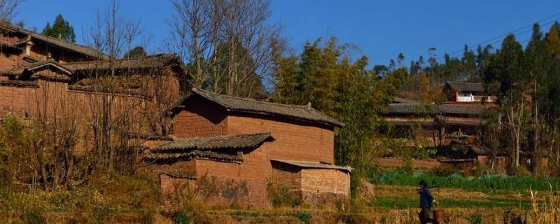 村里建个群叫什么名字（村里建个群叫什么名字好听）