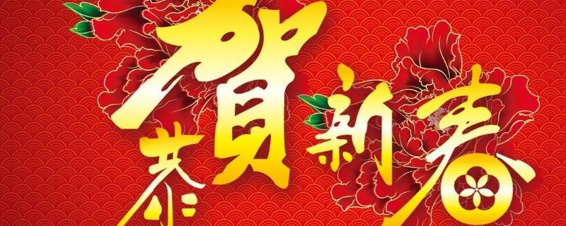春节文化的收获和感悟（春节文化的心得体会）