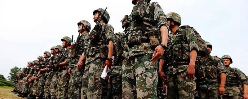 当兵要交的团表是什么（当兵需要的团员资料是什么）