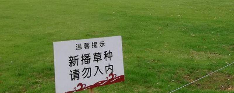关于爱护草坪的宣传标语 关于爱护草坪的宣传标语大全