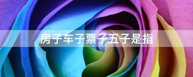 房子车子票子五子是指 房子车子票子位子五子