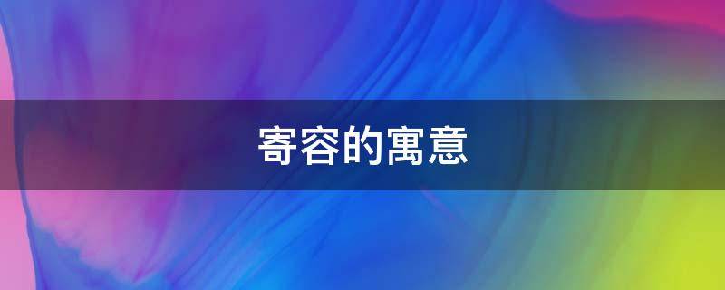 寄容的寓意 容的寓意是什么
