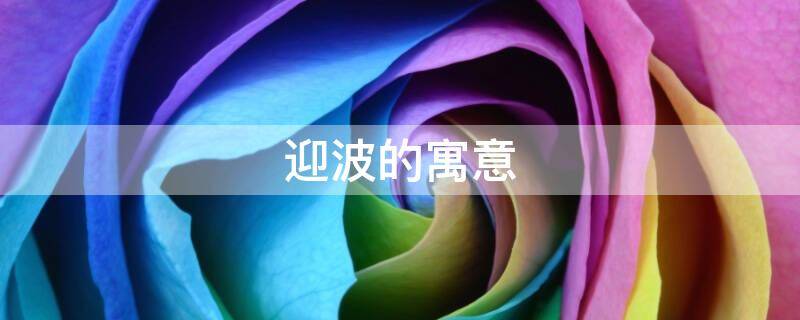 迎波的寓意（风波的寓意）