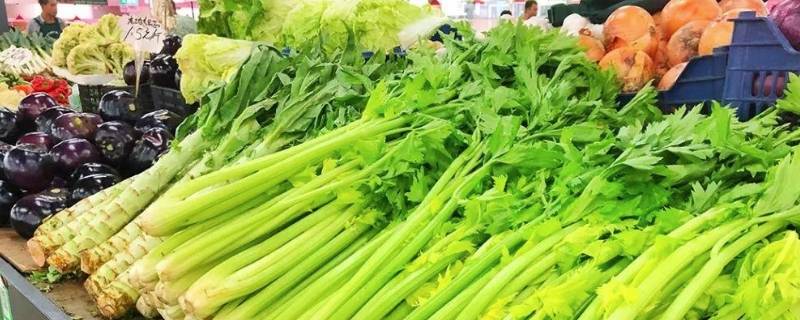 北京蔬菜批发市场有哪些（北京蔬菜最大的批发市场）