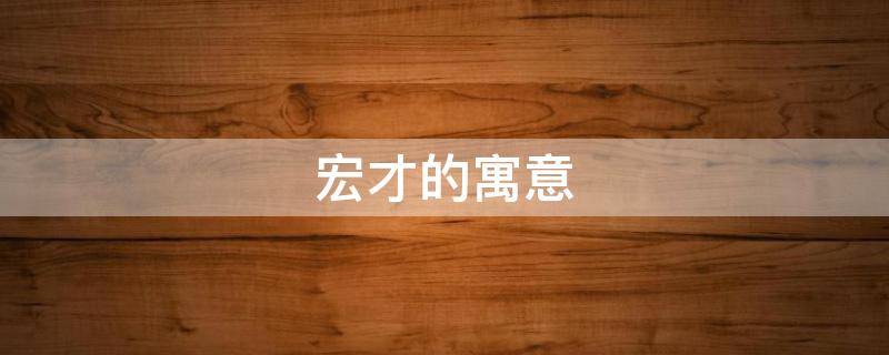 宏才的寓意（宏睿的寓意）