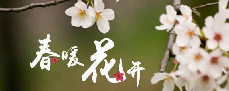 春暖花开祝福语有哪些（春暖花开祝福语有哪些呢）