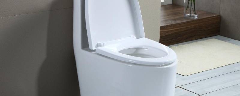 马桶堵了有什么办法（坐便堵了怎么办疏通马桶有妙招）