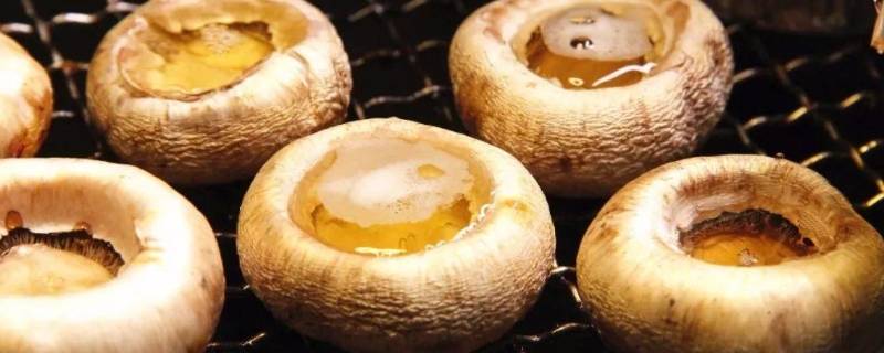 一烤就出汁的蘑菇叫什么（一烤就出汁的蘑菇叫什么名字）