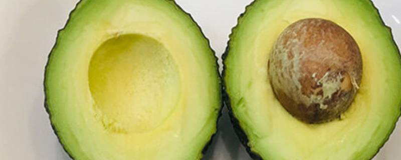 牛油果太硬怎么办 牛油果生硬怎么办