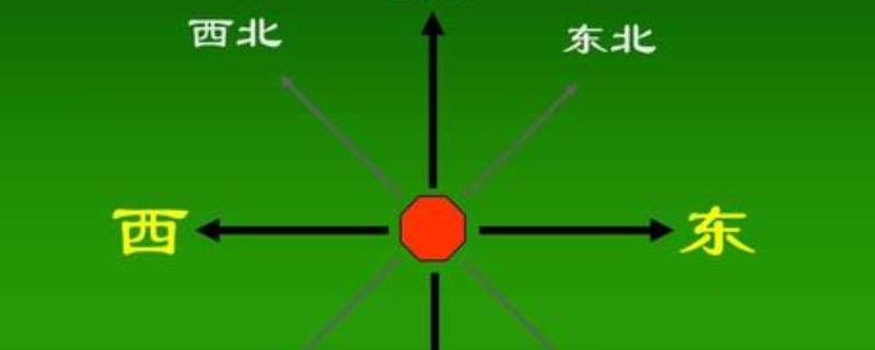 怎么辨别方向东南西北（树的年轮怎么辨别方向东南西北）