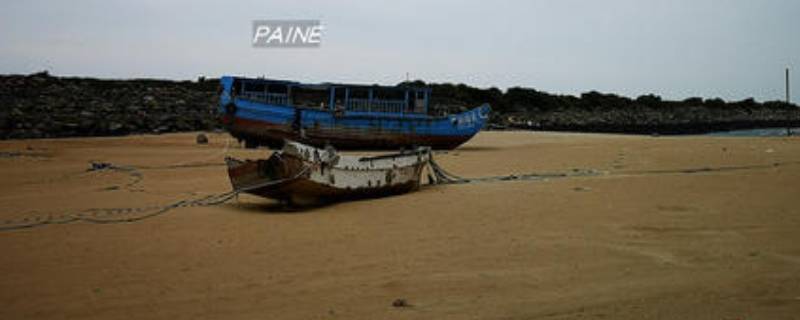 1981年沙漠里发现船在哪里（沙漠里出现1981年的船）