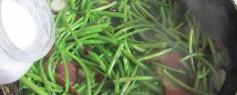 泥蒿怎么保存长久 泥蒿可以保存多久