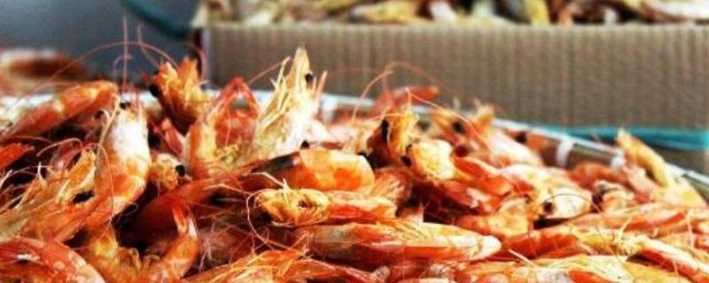 虾干怎么保存（虾干怎么保存方法冷冻还是冷藏）