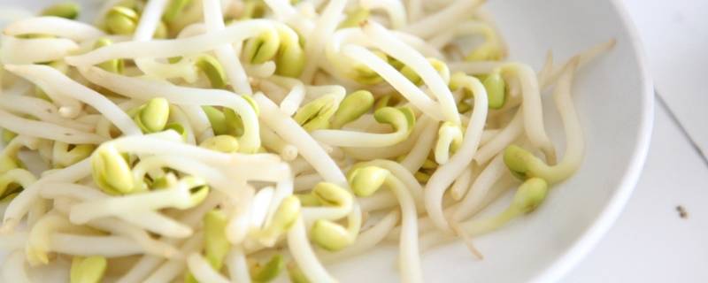 立春吃哪种菜（立春吃那种菜）