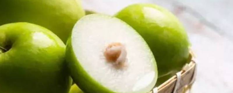 牛奶枣不甜怎么回事 牛奶枣不甜怎么回事呢