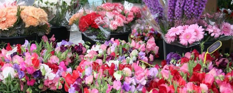 网上买的鲜花怎么醒（网上买花如何醒花）