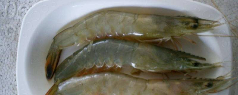 虾3040规格是什么意思（3040虾和4050虾哪个规格大）