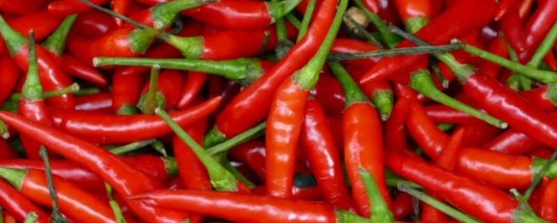 红尖辣椒怎么炒 红尖辣椒怎么炒才好吃