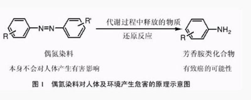 芳香胺是什么东西（芳香胺是啥）