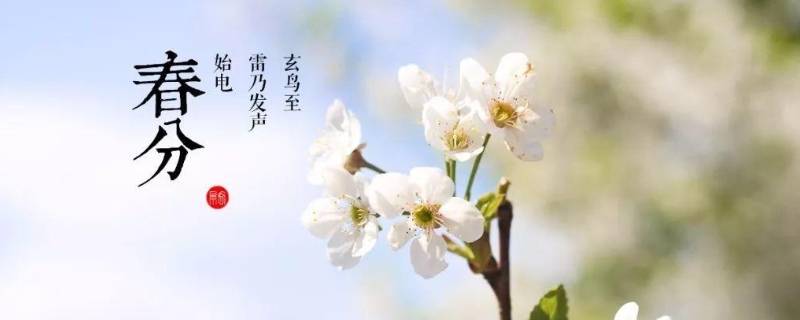 春分的由来 春分的来历和风俗