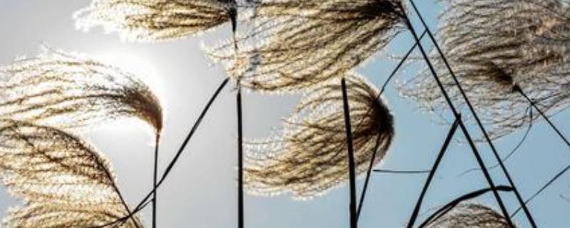 冬天的风为什么叫朔风 秋天的风为什么叫朔风