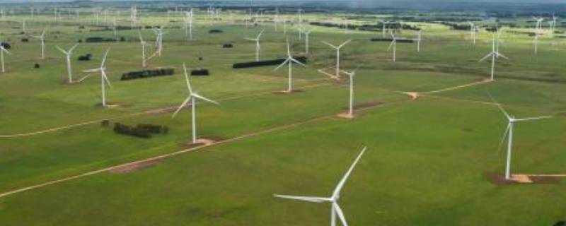 风的特点是什么（风的特点是什么四字词语）