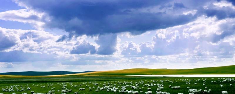 草原的由来 草原的来历