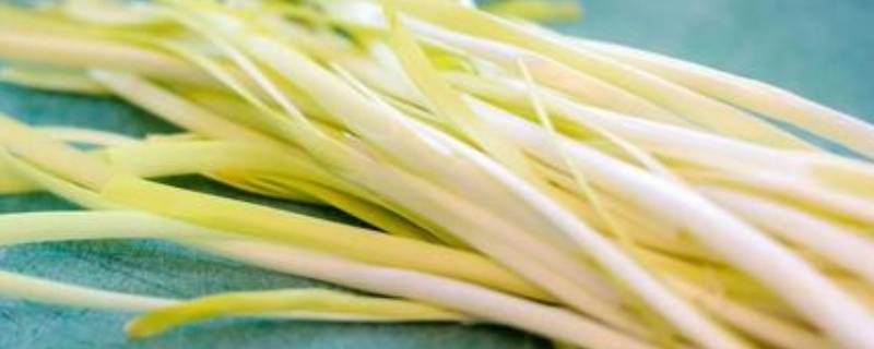 韭黄和蒜黄是一样的吗 韭黄和蒜黄是一样的吗