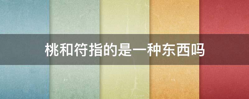 桃和符指的是一种东西吗（桃和符是一种东西?）