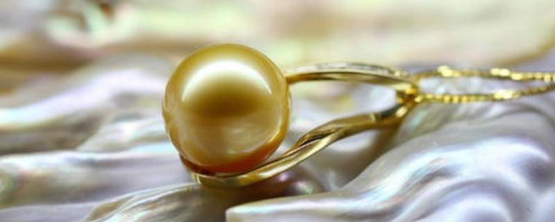 珍珠蚌取出珍珠会死吗（珍珠蚌开出的珍珠是真的吗）