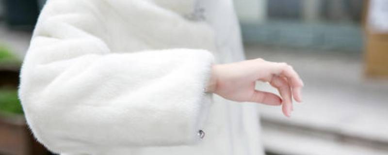 貂皮有灰尘怎么清理 貂皮有灰尘怎么清理掉