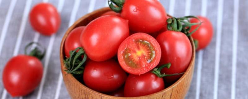 圣女果是水果还是蔬菜 圣女果是水果类吗