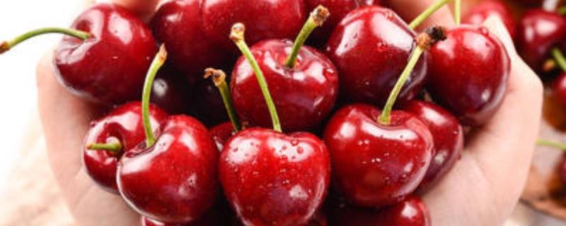 车厘子在冰箱里可以放几天（车厘子在冰箱里可以放几天吗）