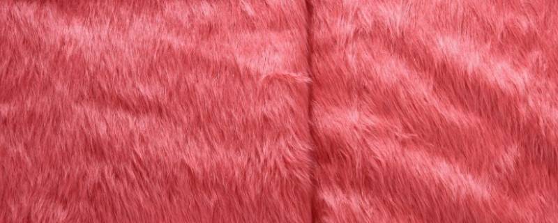 丹麦貂绒是什么材质 丹麦貂衣服是什么材质